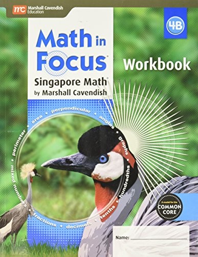 Student Workbook, Book B Grade 4 (Math in Focus: Singapore Math) by HOUGHTON MI