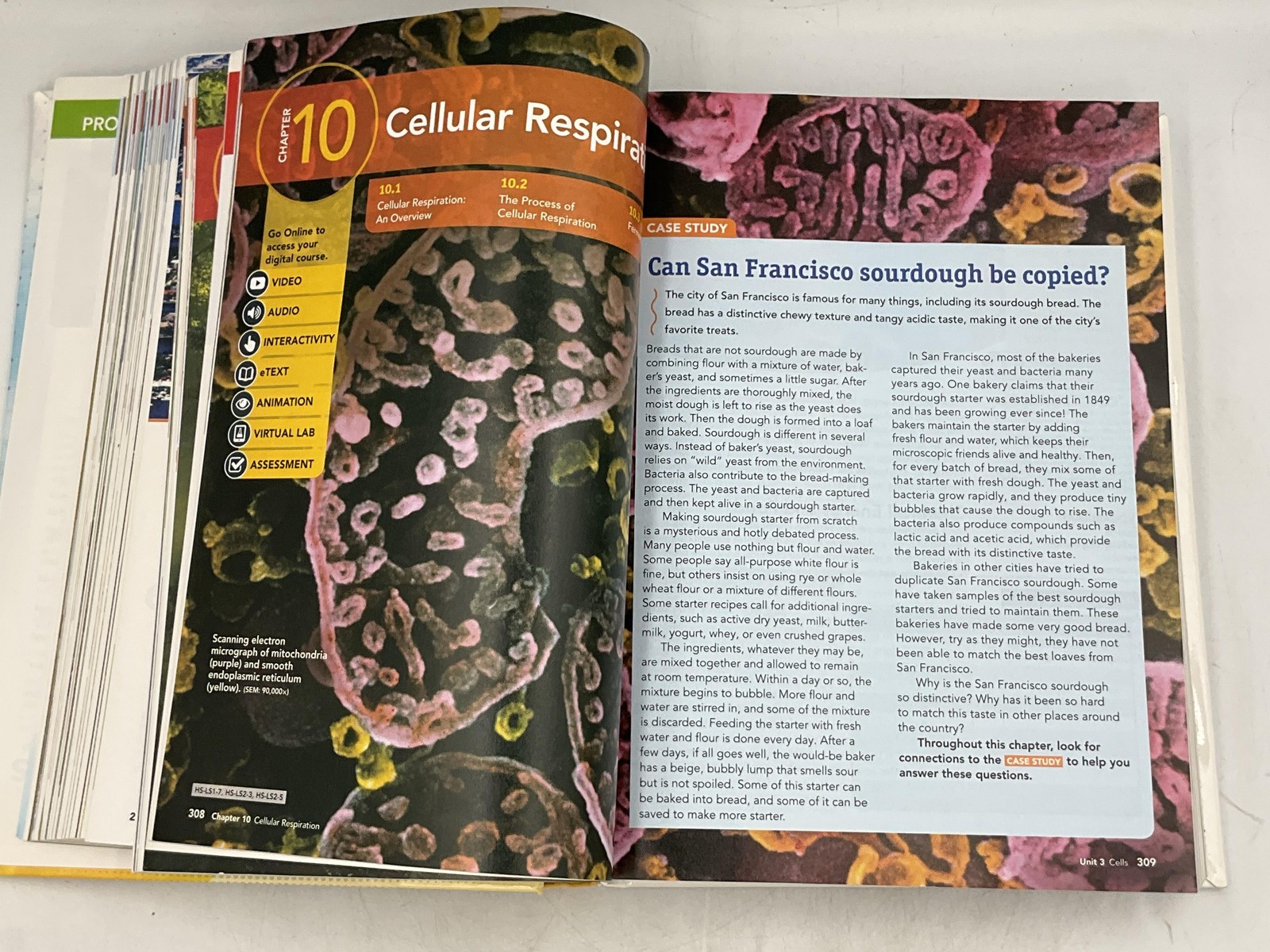 Biology Miller & Levine 2019 Hardcover Savvas Illustrated Yellow Cover