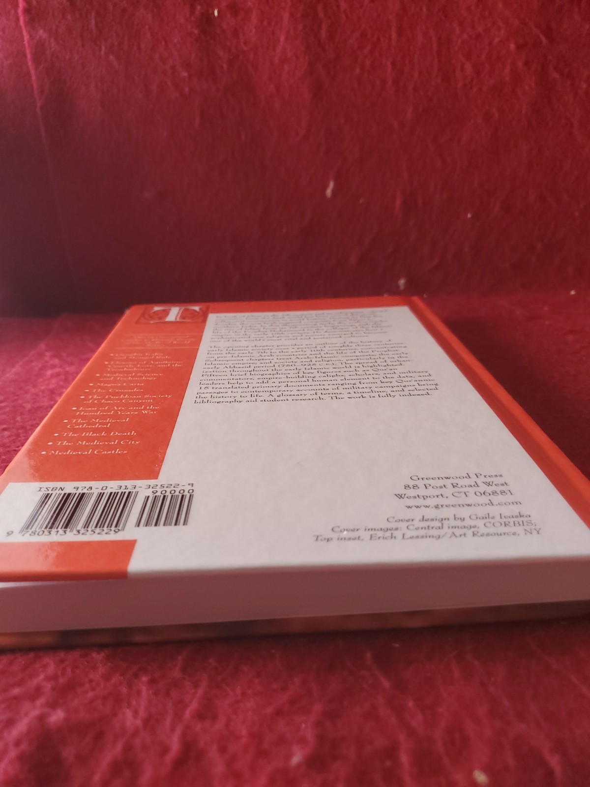 The Rise of Islam by Gordon, Matthew S.