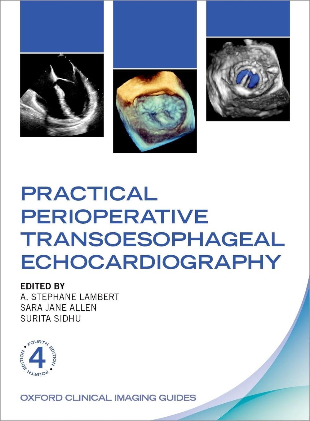 Practical Perioperative Transoesophageal Echocardiography by A. Stephane Lambert