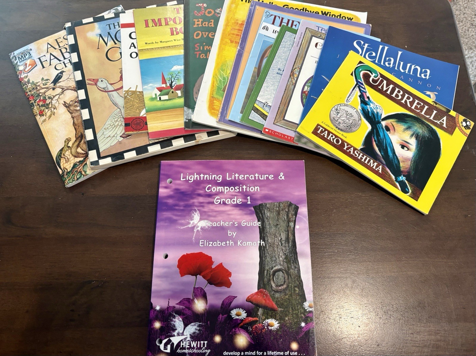 Lightning Literature Grade 1 Teachers Guide Includes Aesops Fables & 11 Books