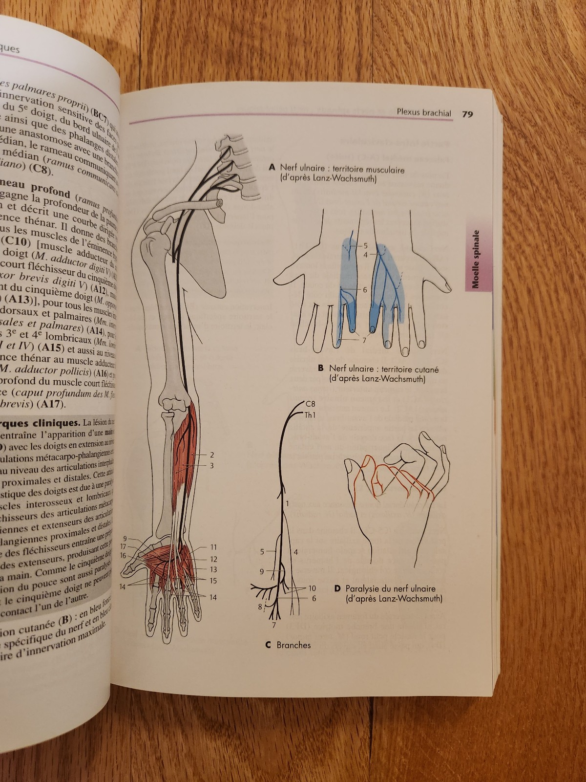 Color Atlas of Human Anatomy 4th Edition Complete Set Vol. 1–3 Flammarion FRENCH