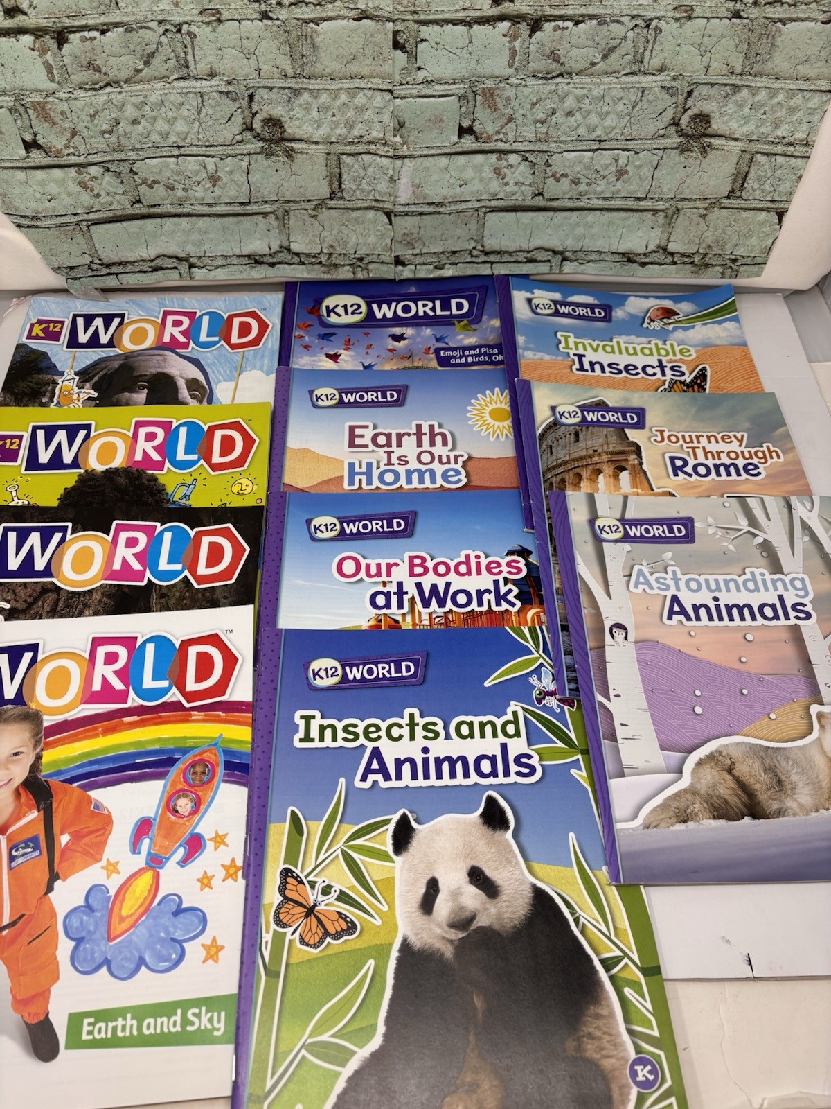 K12 K-12 Mixed Lot Of WORLD reading Books Homeschool Insects Earth Home Science
