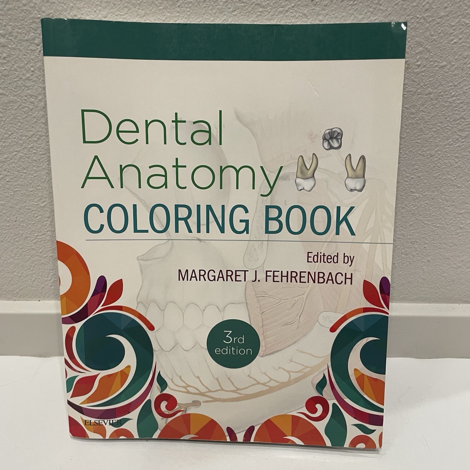 Dental Anatomy Coloring Book Margaret J. Fehrenbach 2018 Trade Paperback GREAT