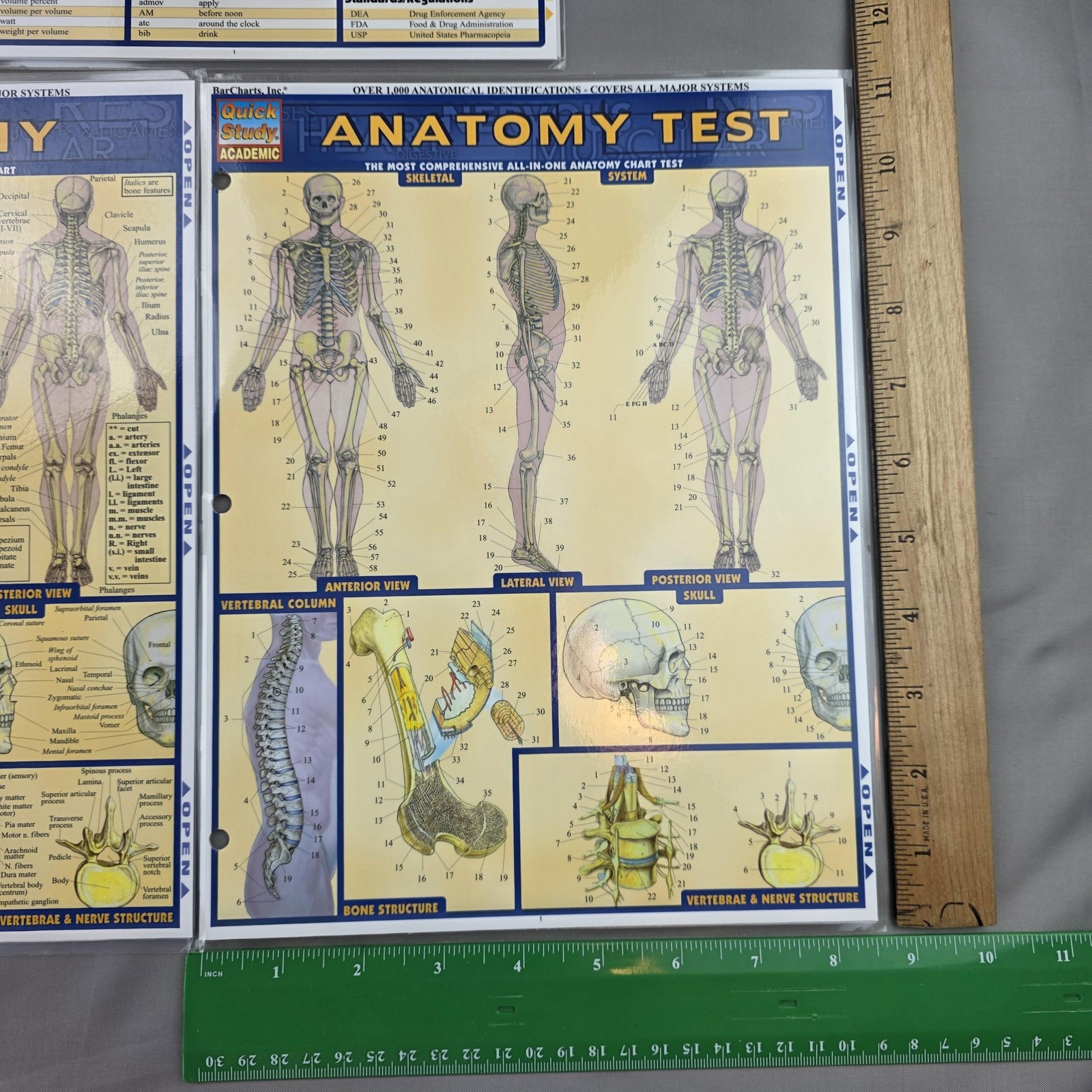 BarCharts QuickStudy Anatomy Terminology Abbreviations Laminated Charts Lot 5