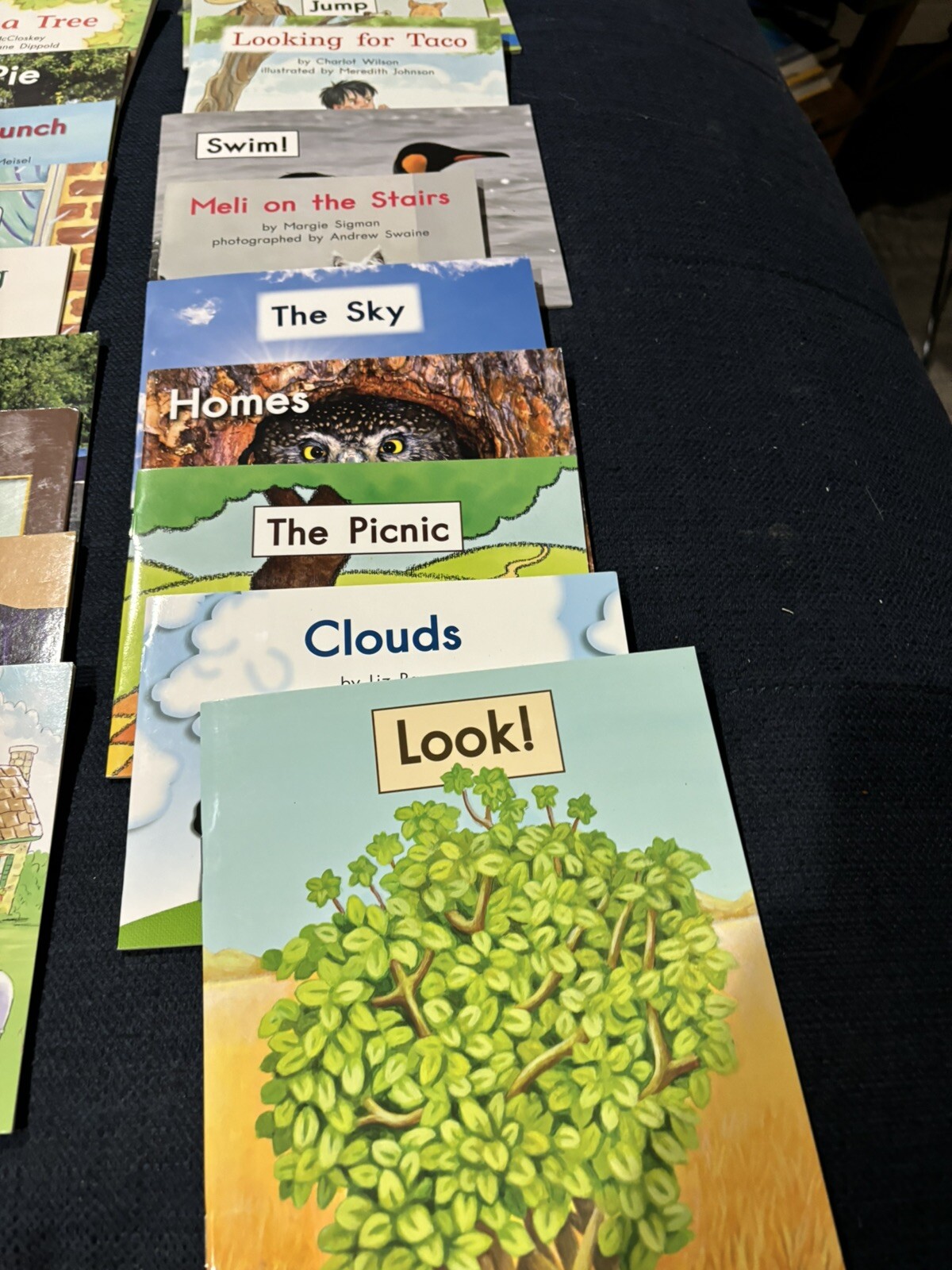 Fountas & Pinnell LLI Grade 2 Green Lessons 31-70; 1 Set = 40 Books