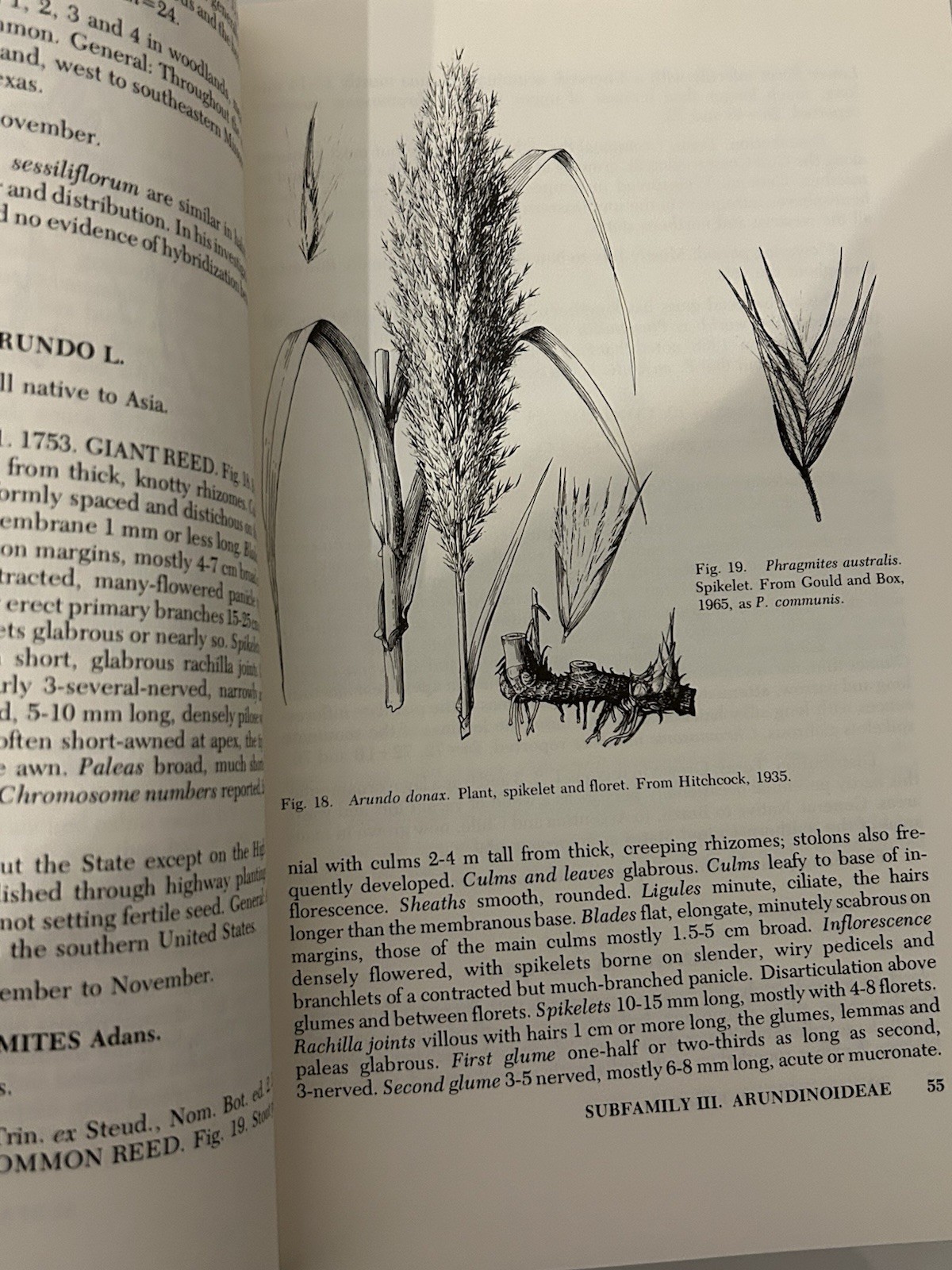 The Grasses of Texas By Frank W Gould 1975 HC Dust Jacket Texas A&M Press