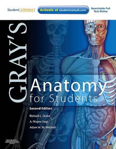 Grays Anatomy for Students: With STUDENT CONSULT Online Access, 2e – GOOD