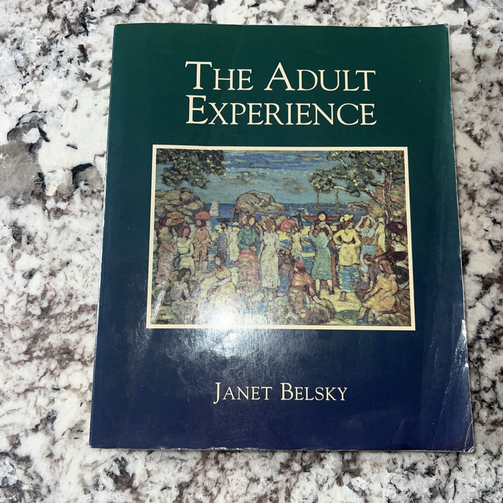 Adult Experience by Janet Belsky (1997, Trade Paperback)