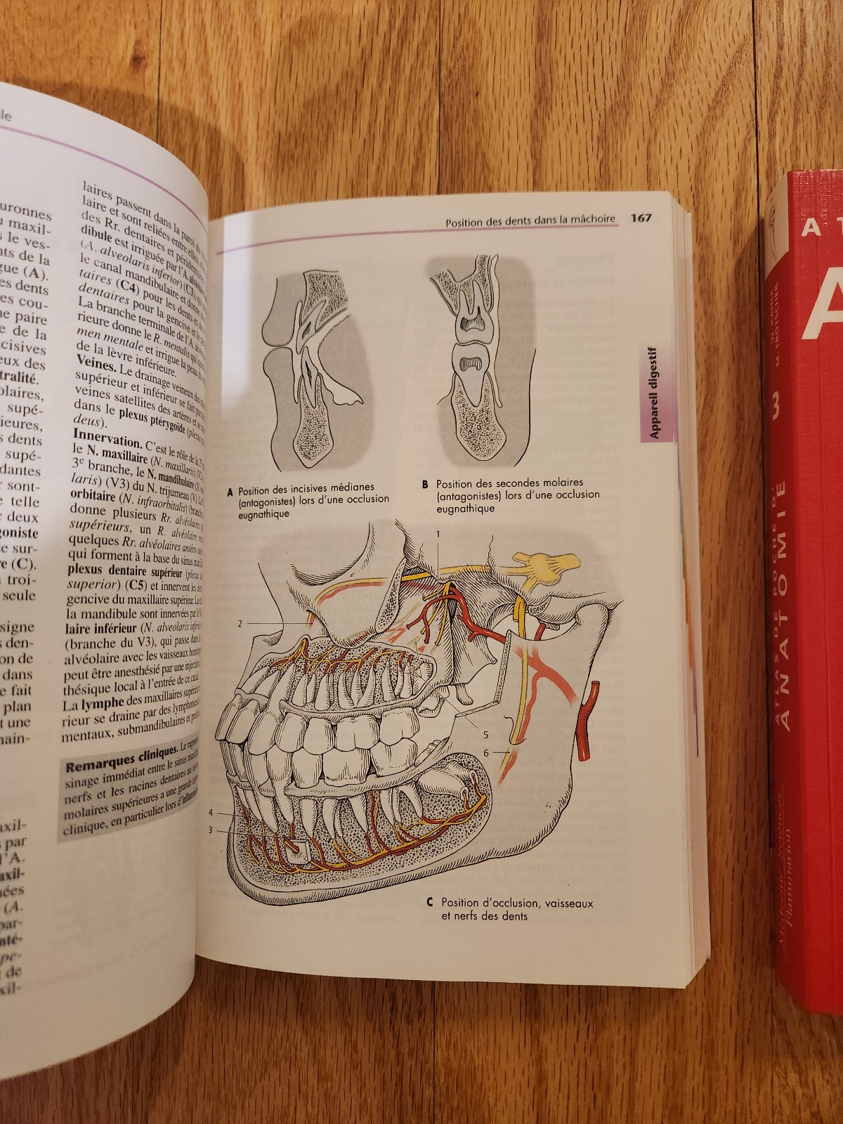Color Atlas of Human Anatomy 4th Edition Complete Set Vol. 1–3 Flammarion FRENCH