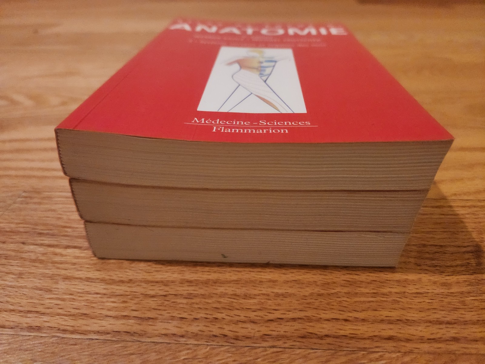 Color Atlas of Human Anatomy 4th Edition Complete Set Vol. 1–3 Flammarion FRENCH