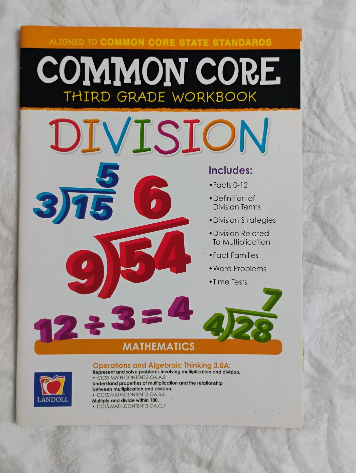 Common Core DIVISION – Third Grade Workbook – Landoll – 32 Pages – Brand New