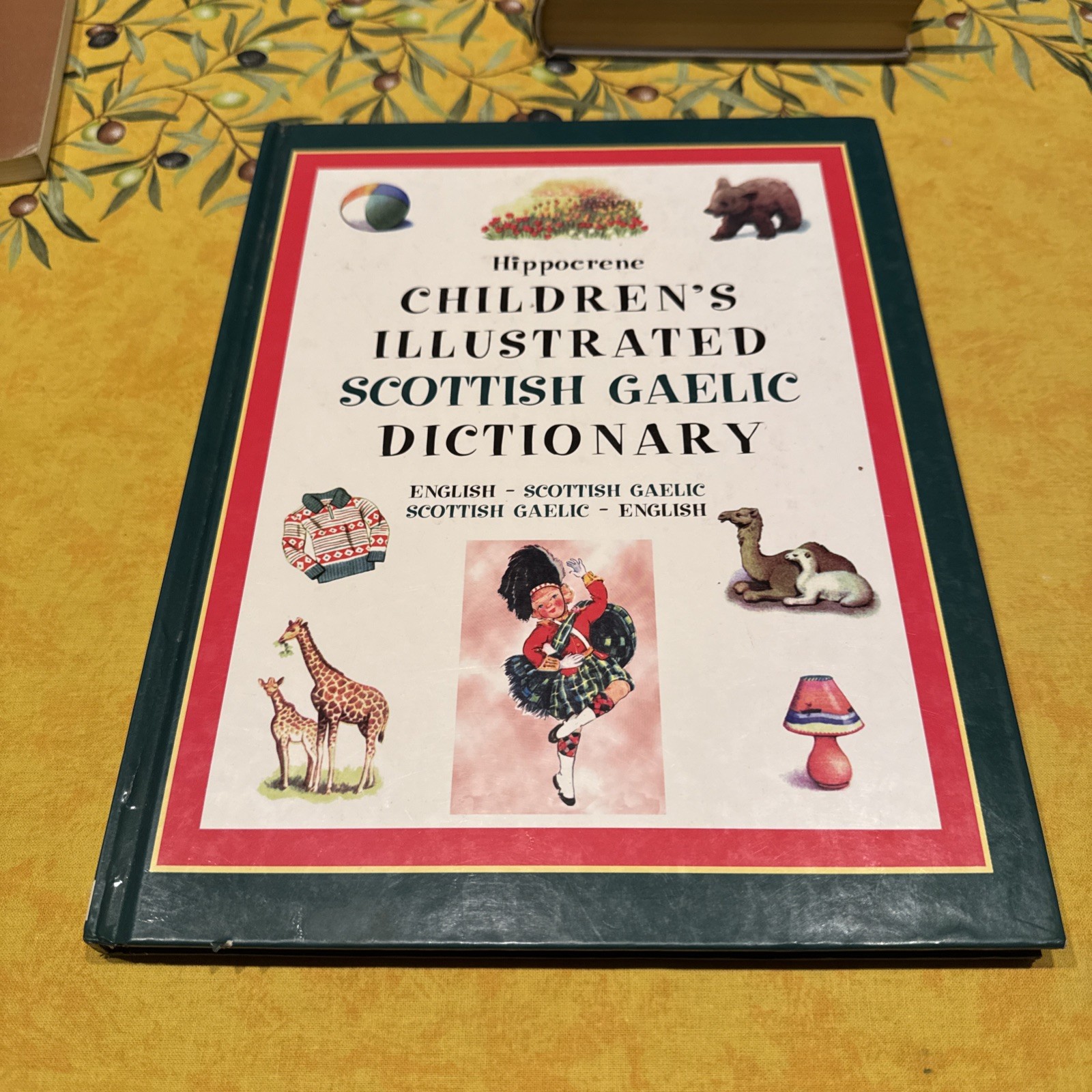 HIPPOCRENE CHILDREN’S ILLUSTRATED SCOTTISH GAELIC By Not Available – Hardcover