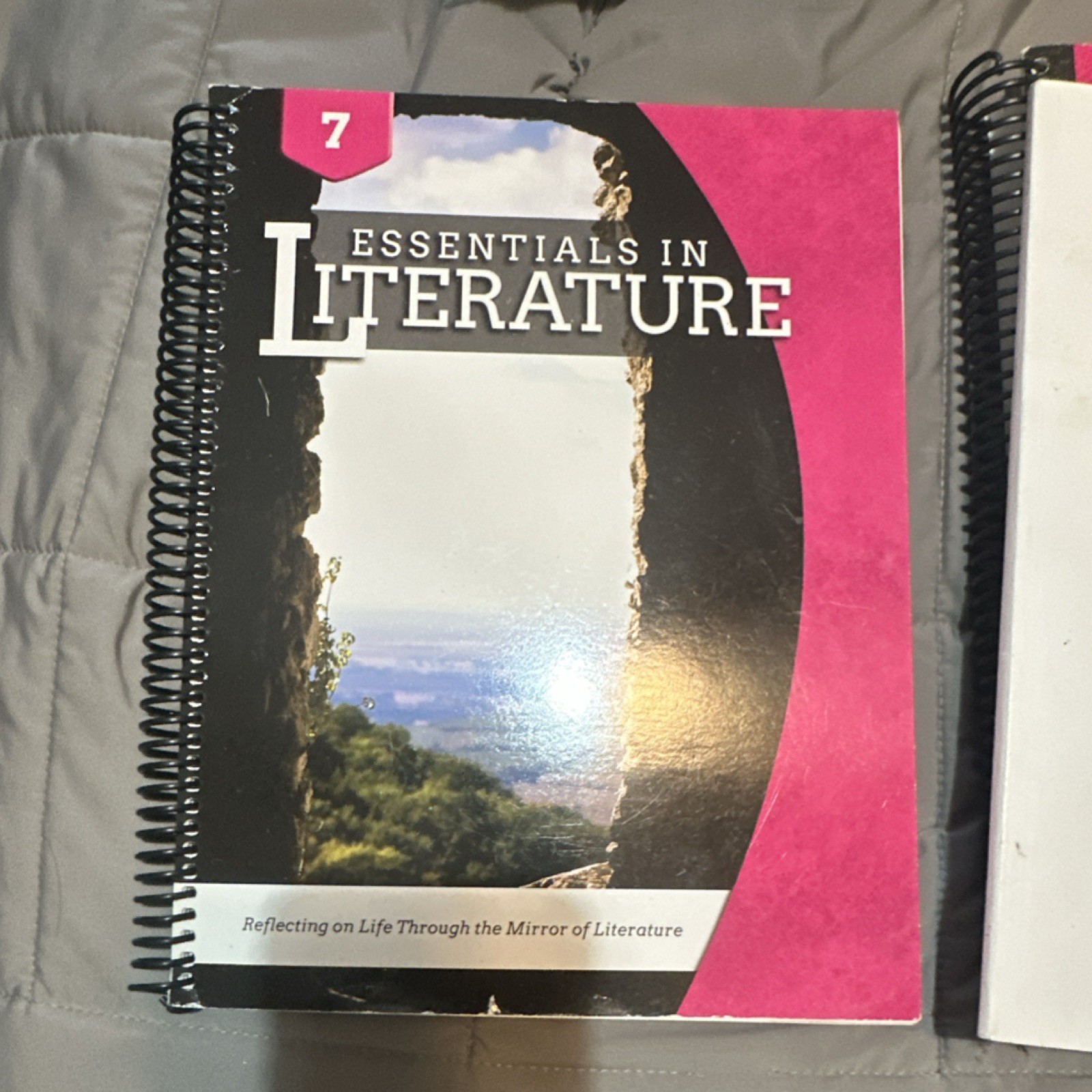 Essentials in Literature & Writing Level 7 Textbook Second Edition Matthew Step…