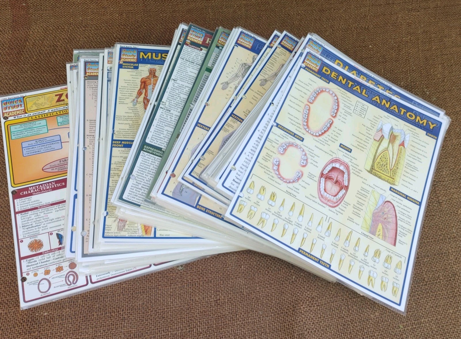 Lot Of 84 QUICK STUDY ACADEMIC & HEALTH Guides!!