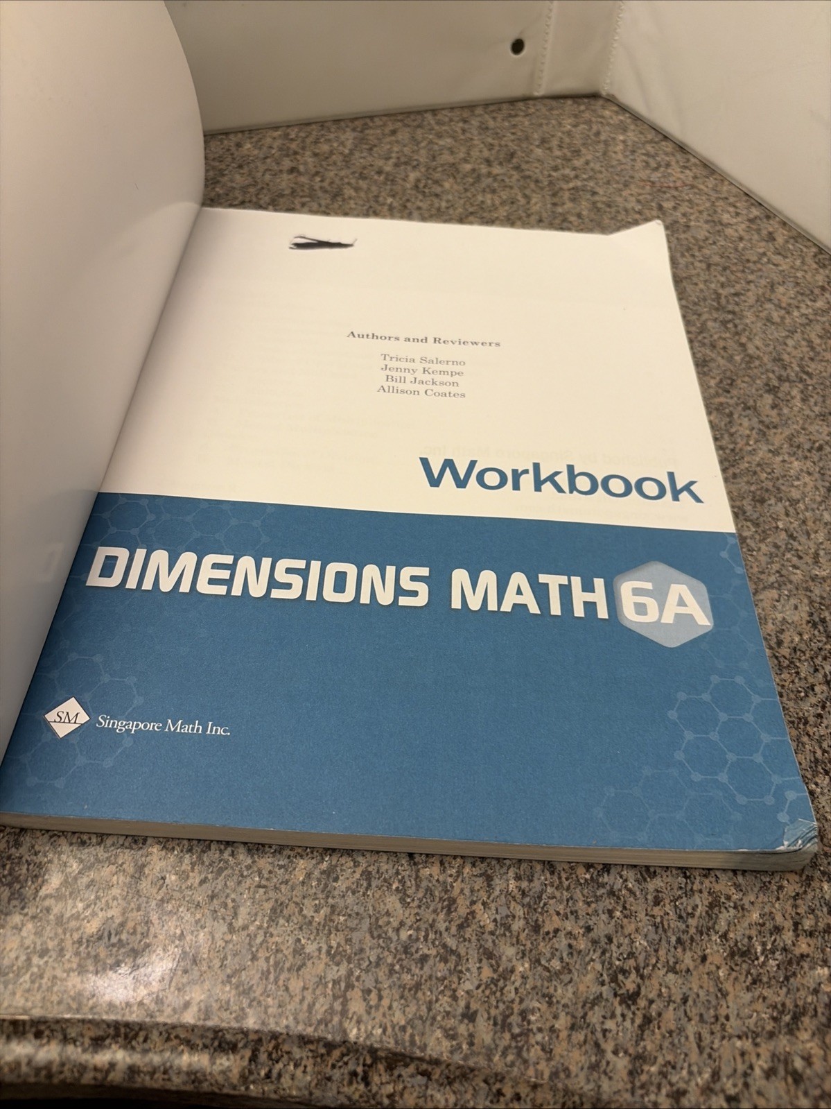 Dimensions Math Workbook 6A (Trade Paperback)