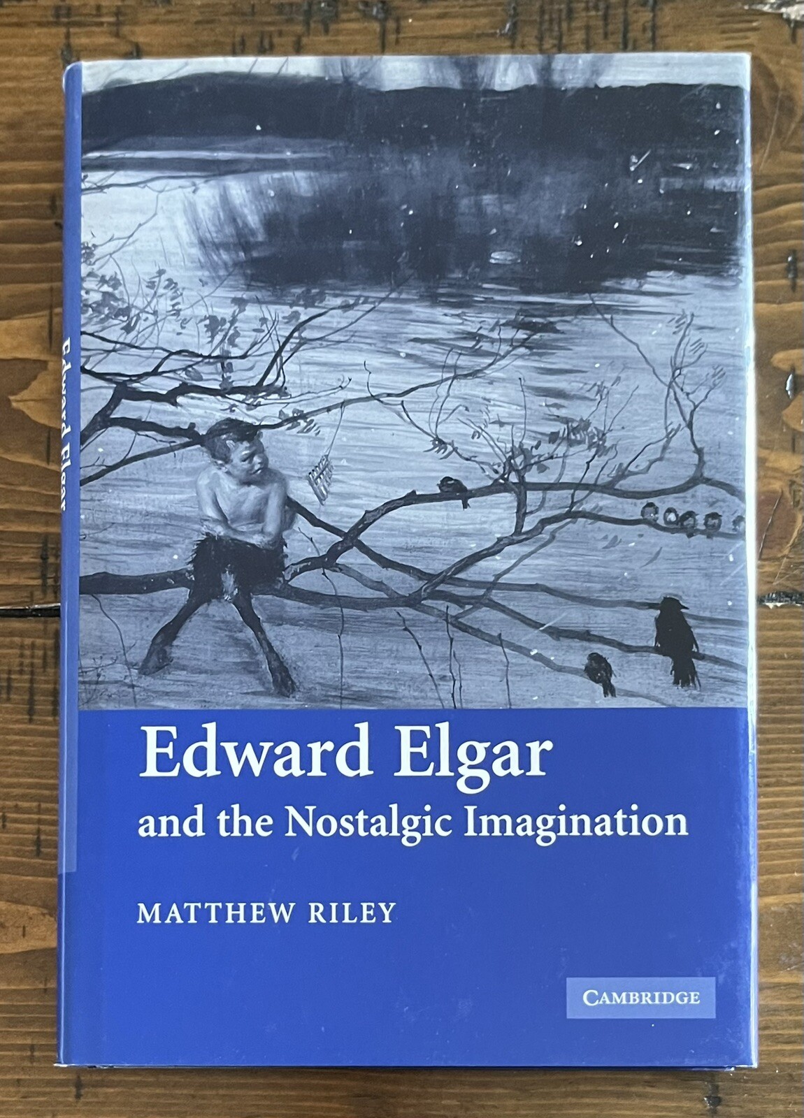 Edward Elgar and the Nostalgic Imagination Matthew Riley English Hardcover
