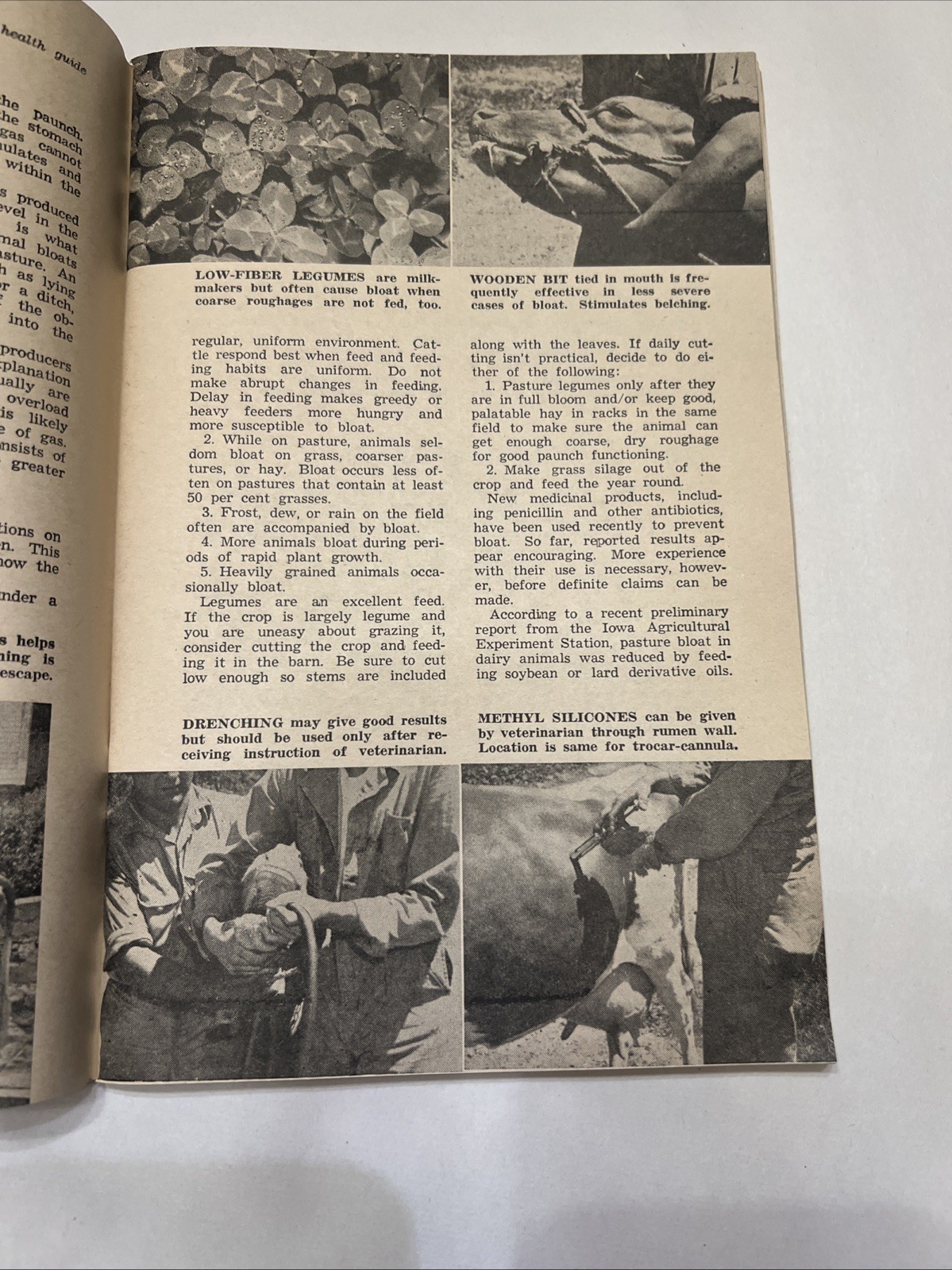 Herd Health Guide – Hoard’s Dairyman 1961 – Fort Atkinson, Wisconsin – 128 pages