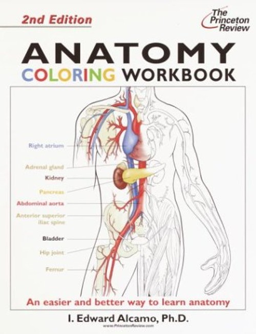 Anatomy Paperback Princeton Review Staff