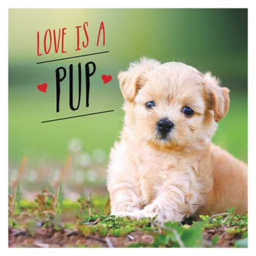 Love is a Pup: A Dog-Tastic Celebration of the Worlds Cutest Puppies – GOOD