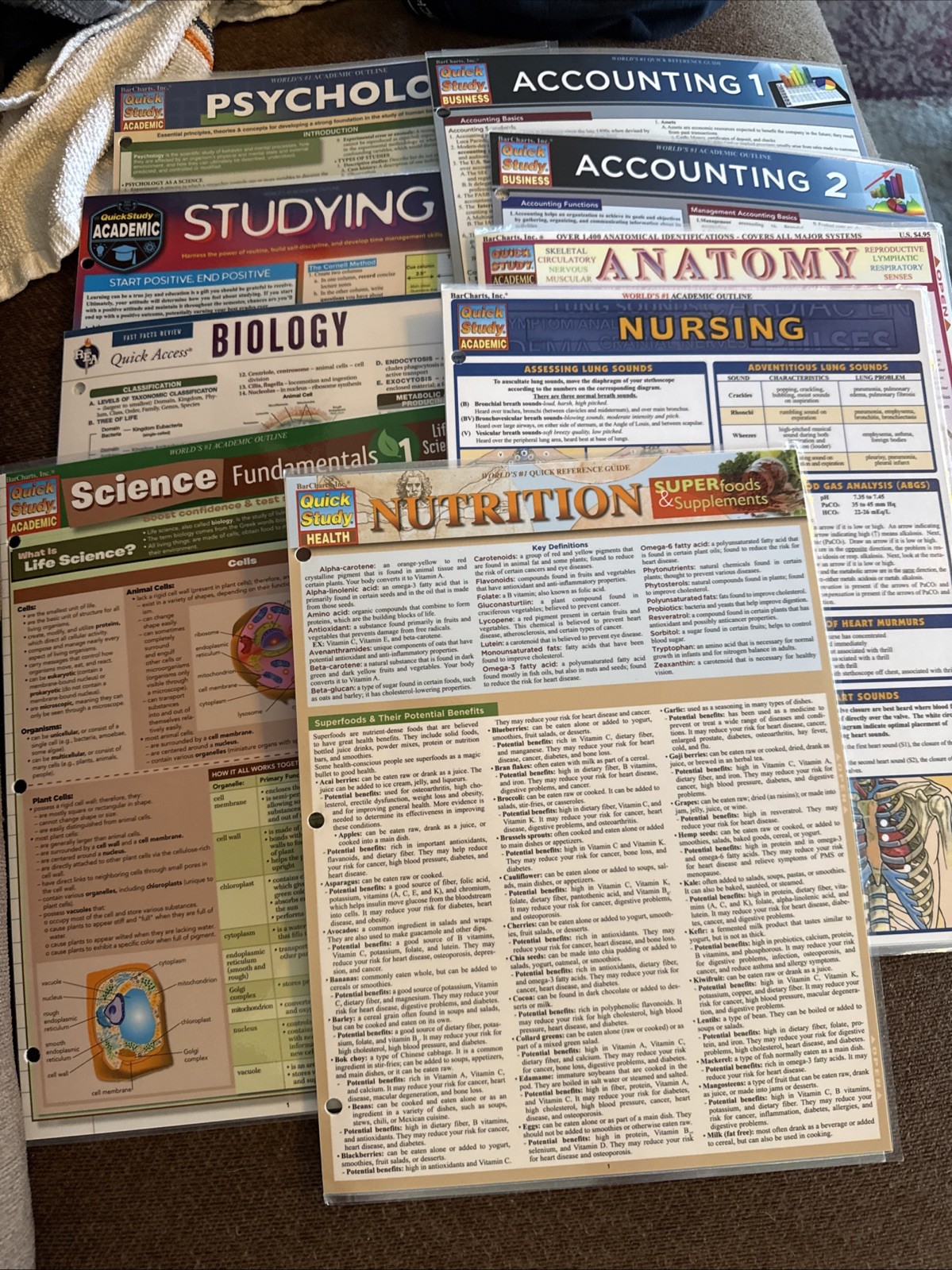 Lot of 9 Quick Study Reference Guides –