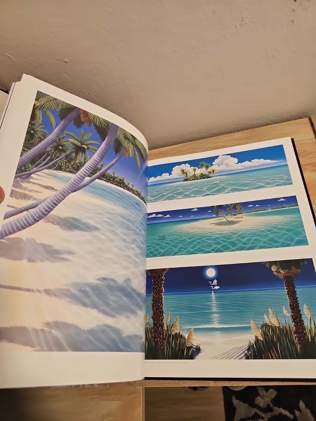 America’s Artists The Artists Of Wyland Galleries Book Limited Edition 968/1500
