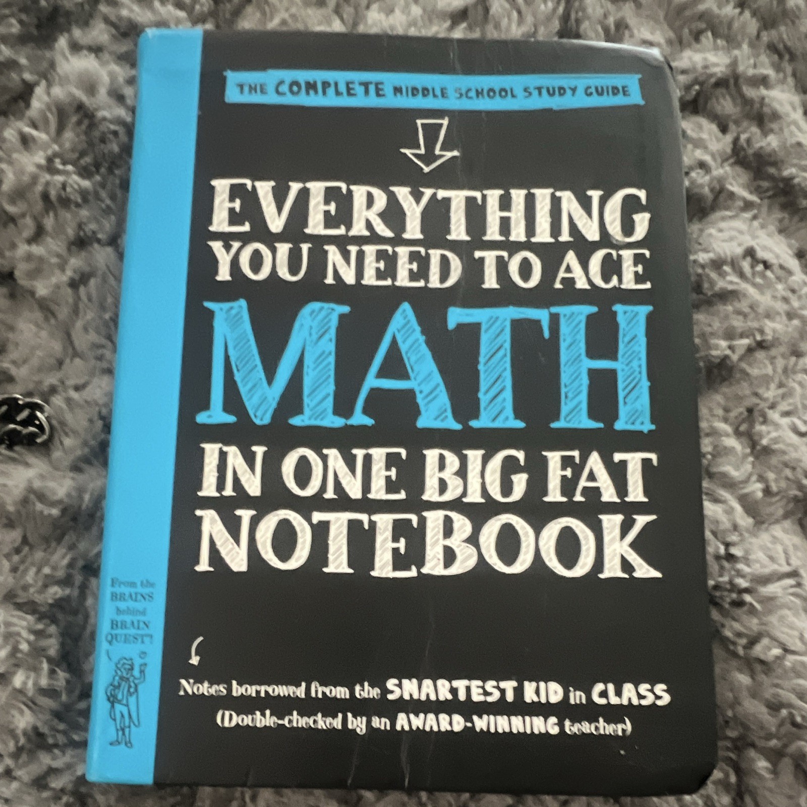 Workman Publishing Everything You Need to Ace Math Big Fat Notebook Paperback