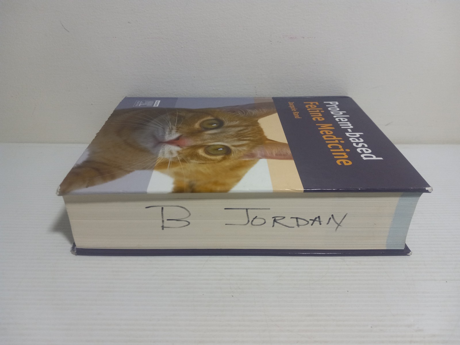 Problem-Based Feline Medicine by Jacquie Rand – 1st Edition Veterinary Textbook