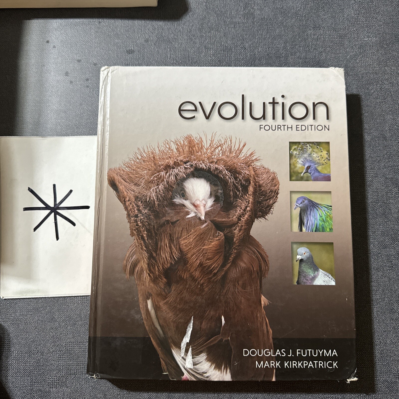 Evolution