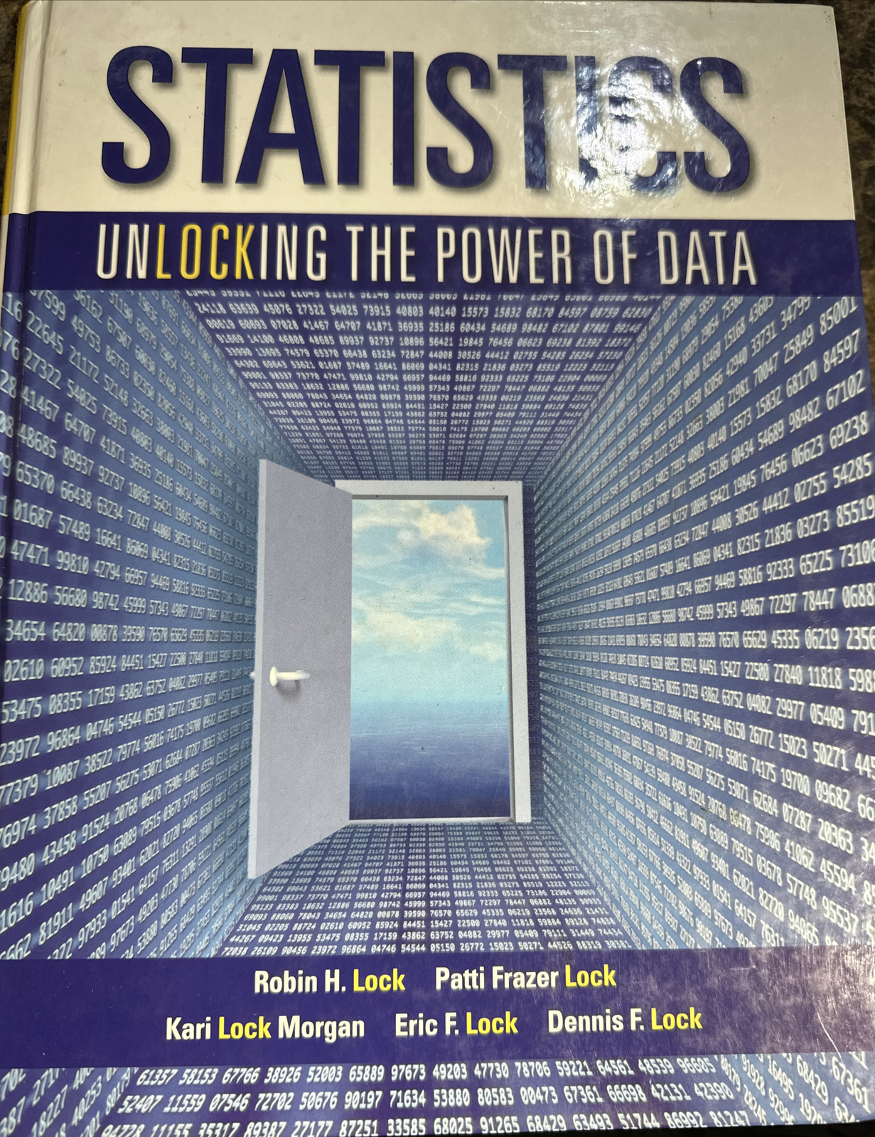 Statistics: Unlocking the Power of Data – Hardcover
