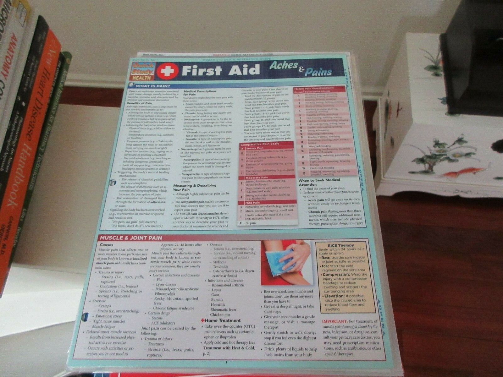 Quick Study Health , Bar Charts , Inc. , First Aid Aches & Pains, 2012