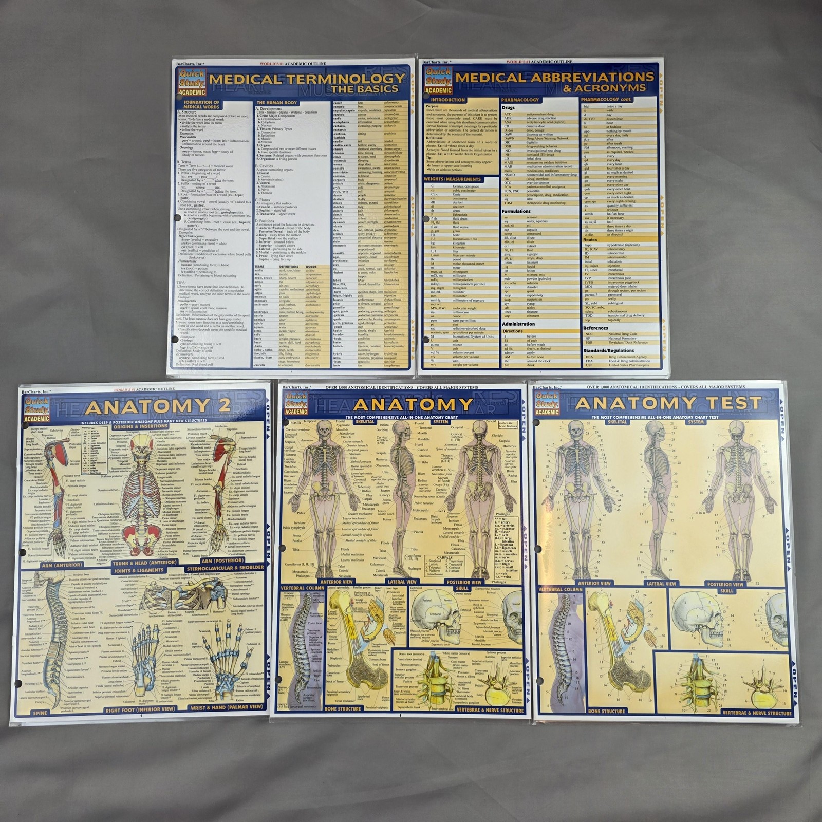 BarCharts QuickStudy Anatomy Terminology Abbreviations Laminated Charts Lot 5