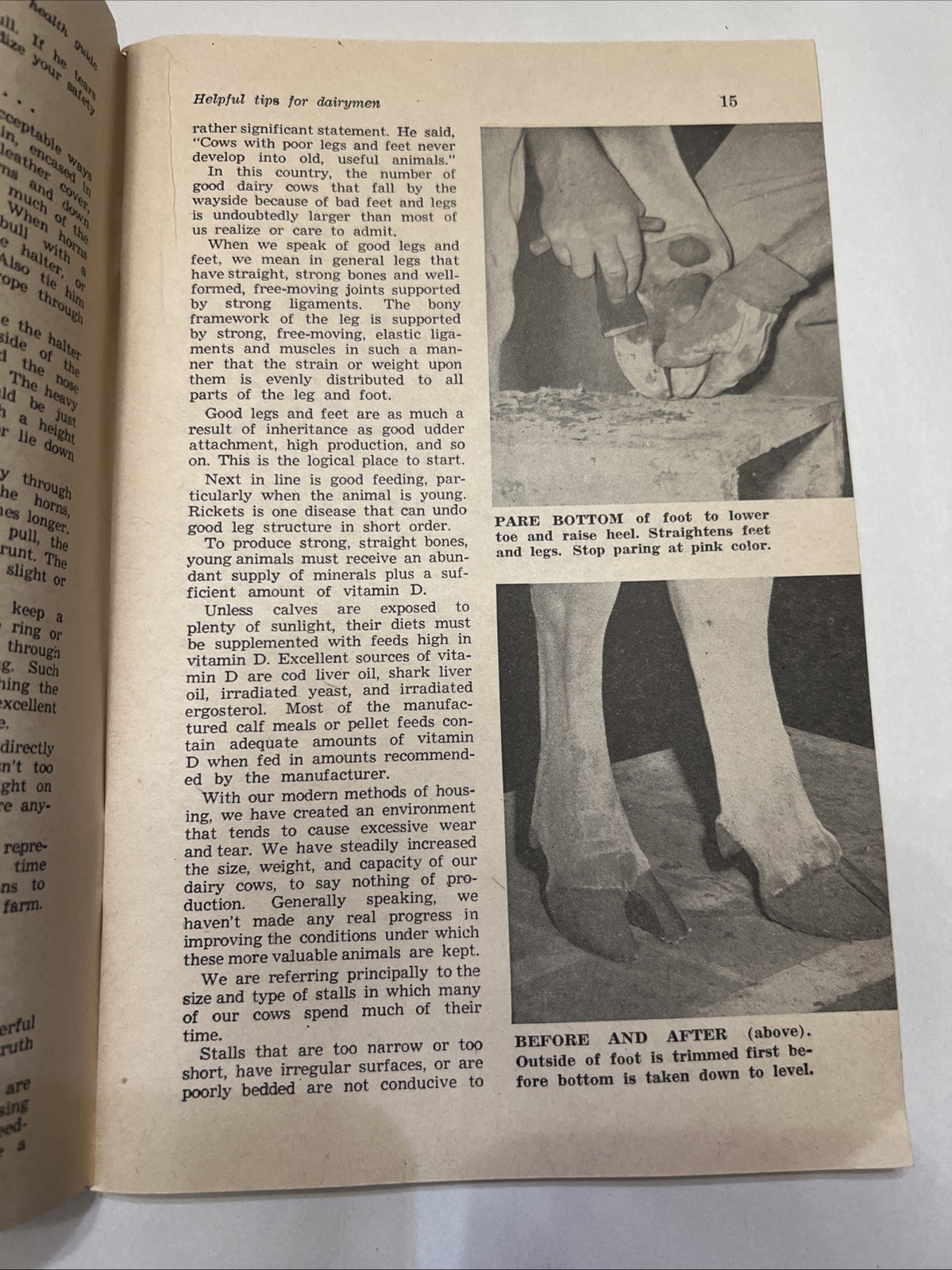 Herd Health Guide – Hoard’s Dairyman 1961 – Fort Atkinson, Wisconsin – 128 pages