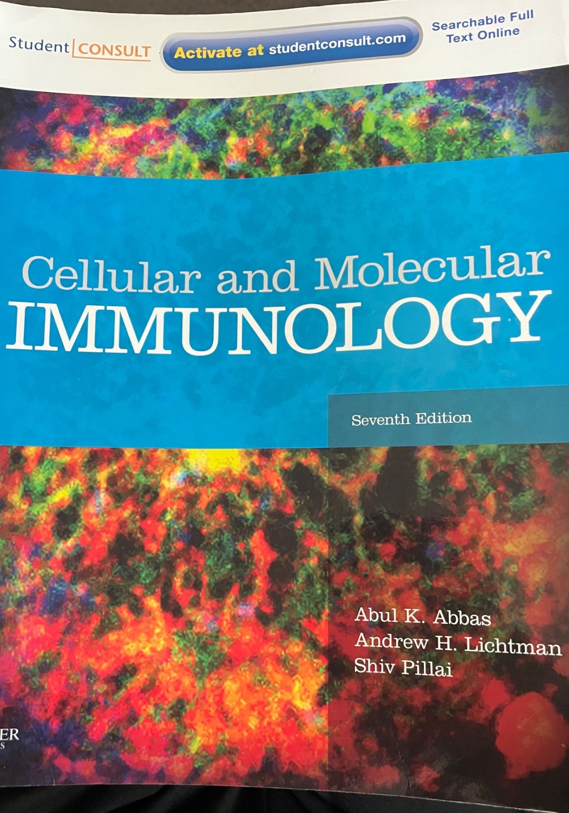 Cellular and Molecular Immunology by Andrew H. Lichtman, Jordan S. Pober and…