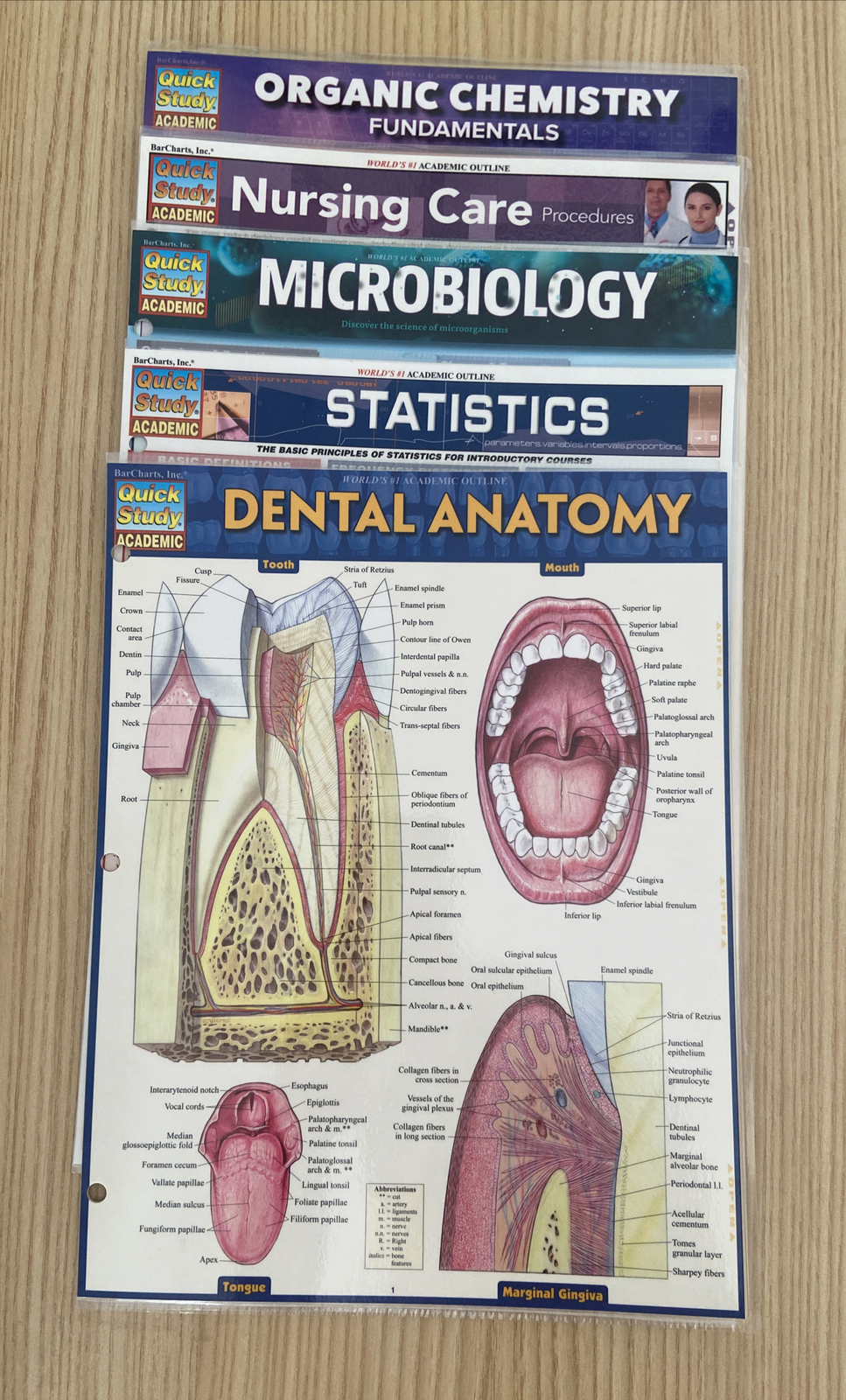Quick Study Academic Bar Charts Laminated: Micro Nursing Stats Organic Chem Anat