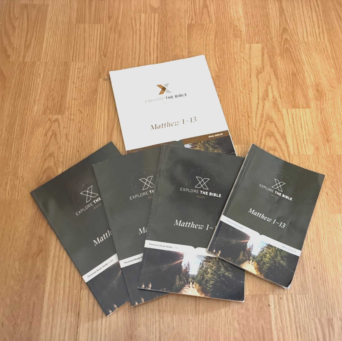 Lifeway Explore the Bible Adults Matthew 1-13 ( 5 in set)
