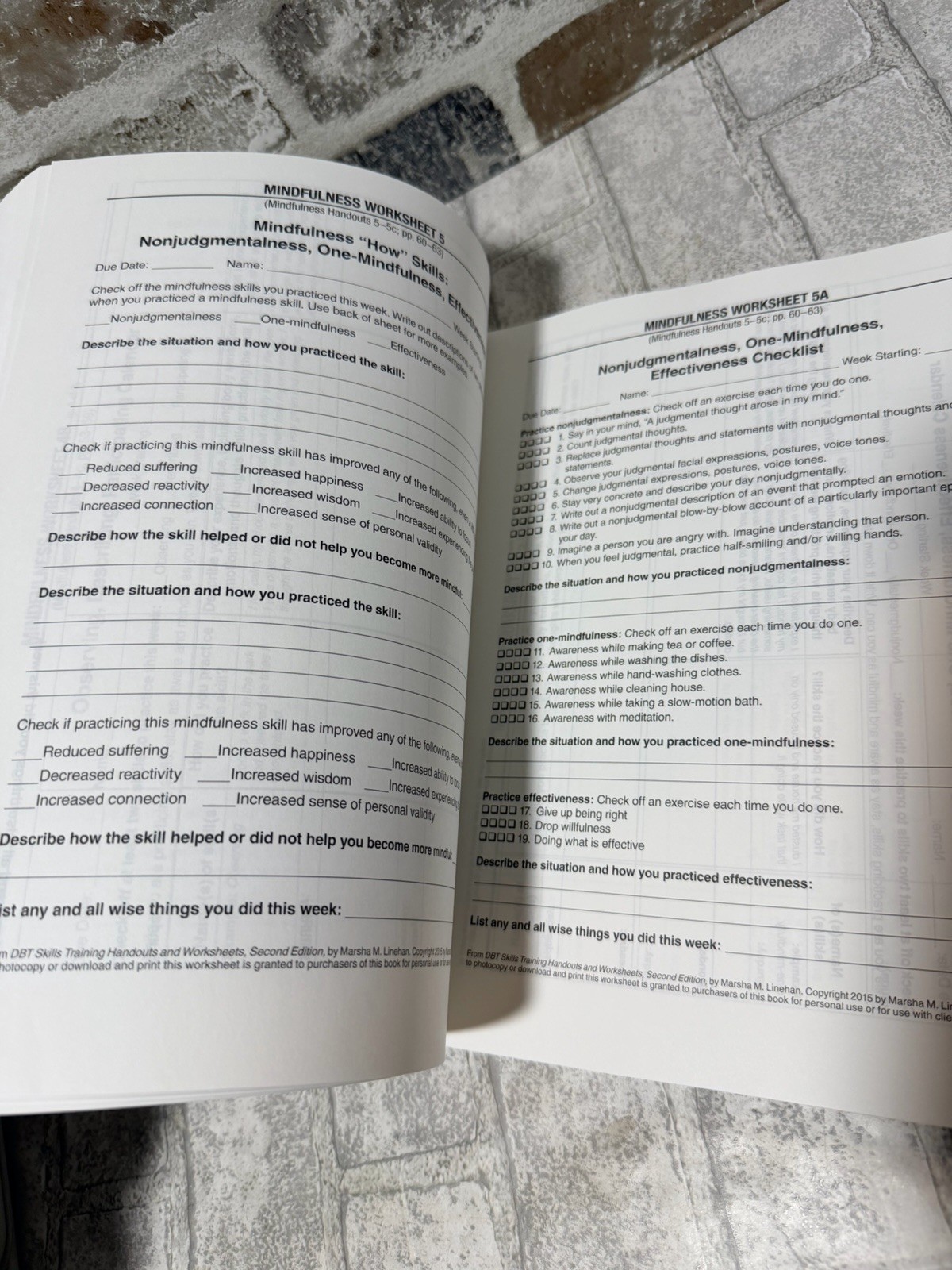 DBT Skills Training Handouts and Worksheets, Second Edition – GOOD