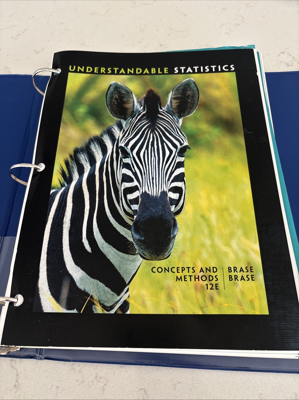 Understanding Statistics Concepts And Methods 12th Edition