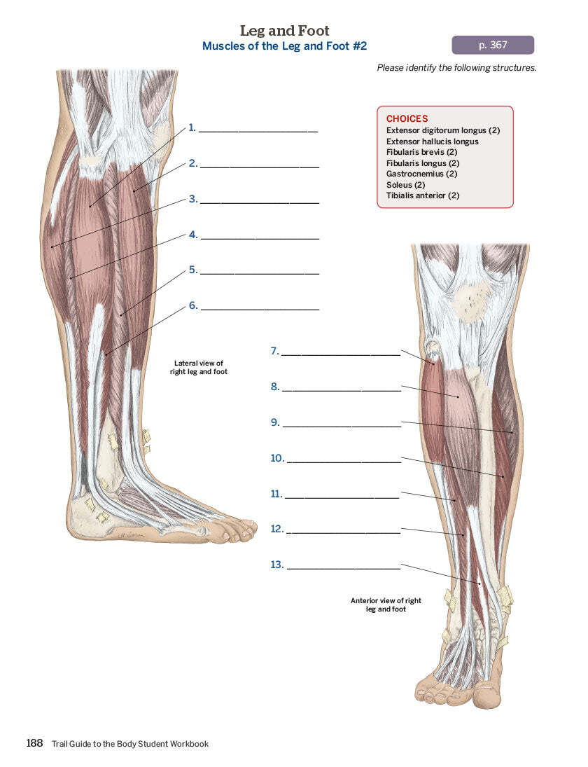 Trail Guide to the Body Student Workbook – 6th Edition