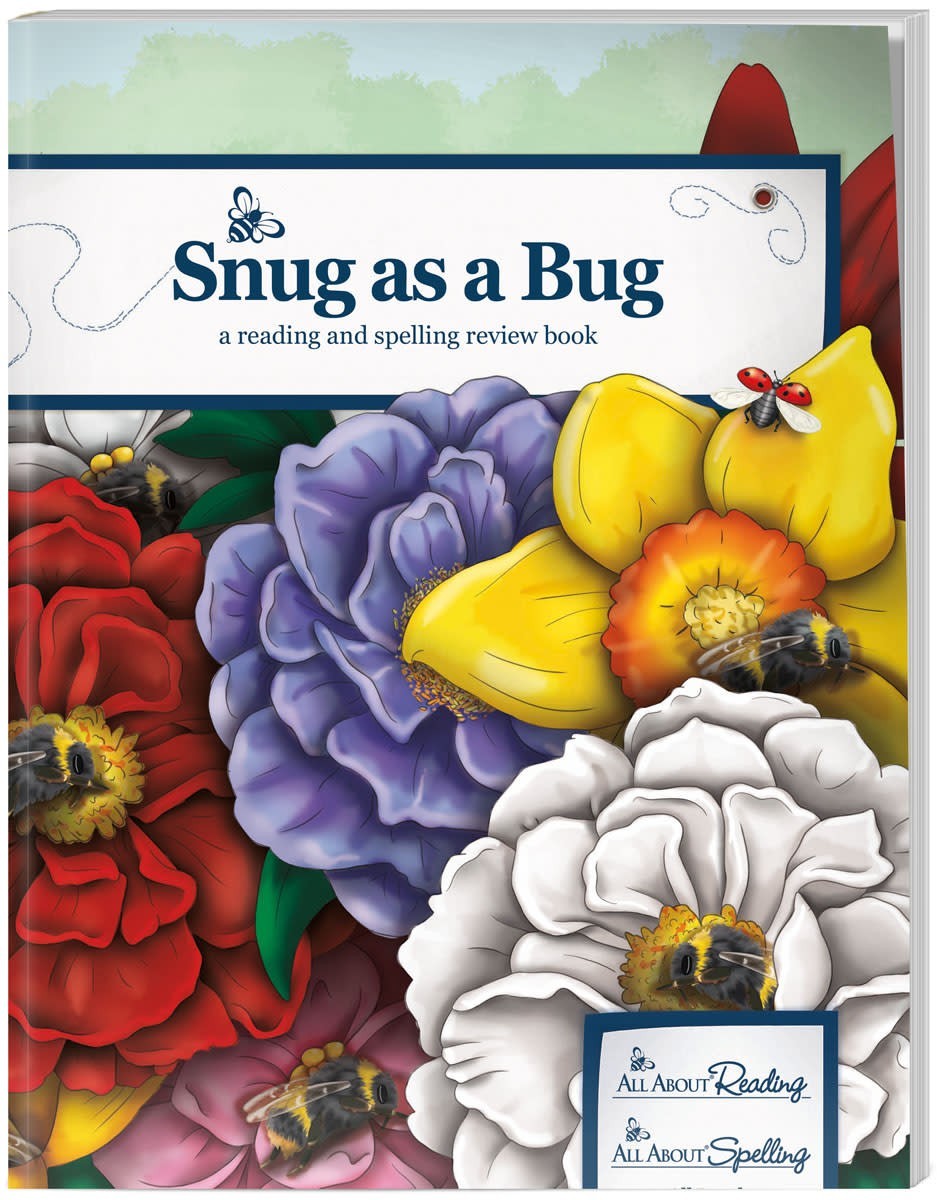 All About Learning Snug as a Bug Spelling Reading Review Book