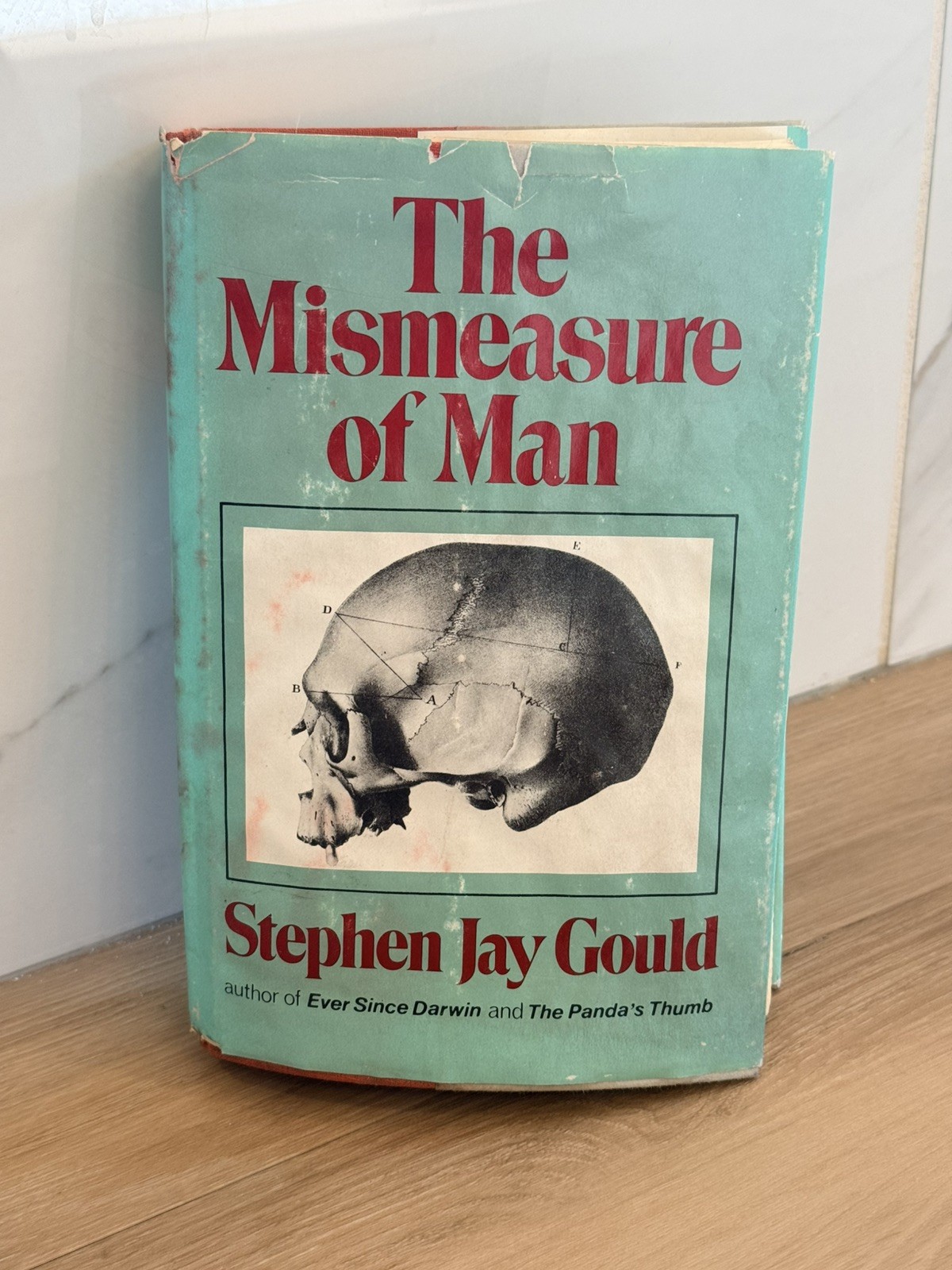 The Mismeasure of Man – Gould, Stephen Jay 1st Edition 1st Printing 1981 HC/DJ
