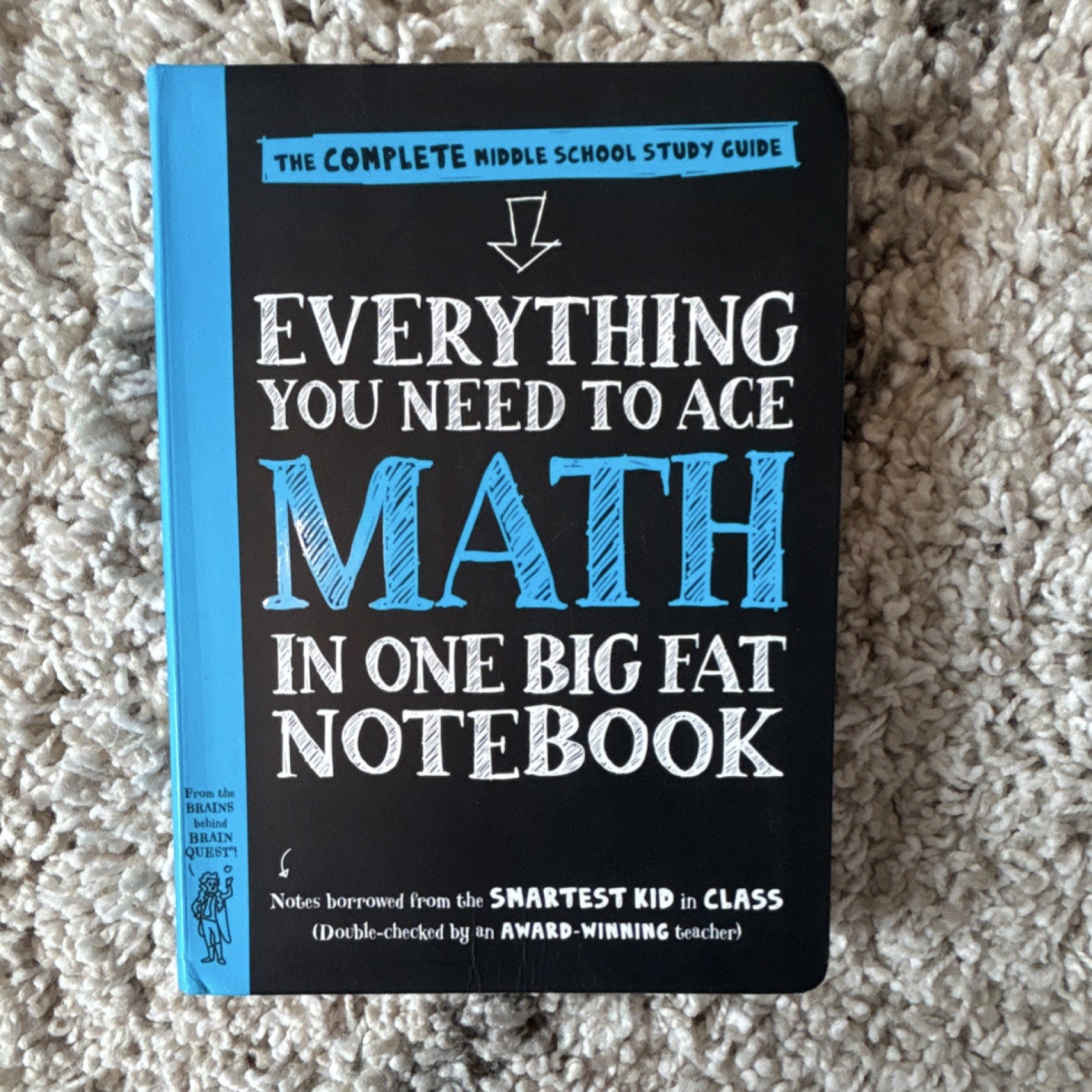 Workman Publishing Everything You Need to Ace Math Study Guide Middle School