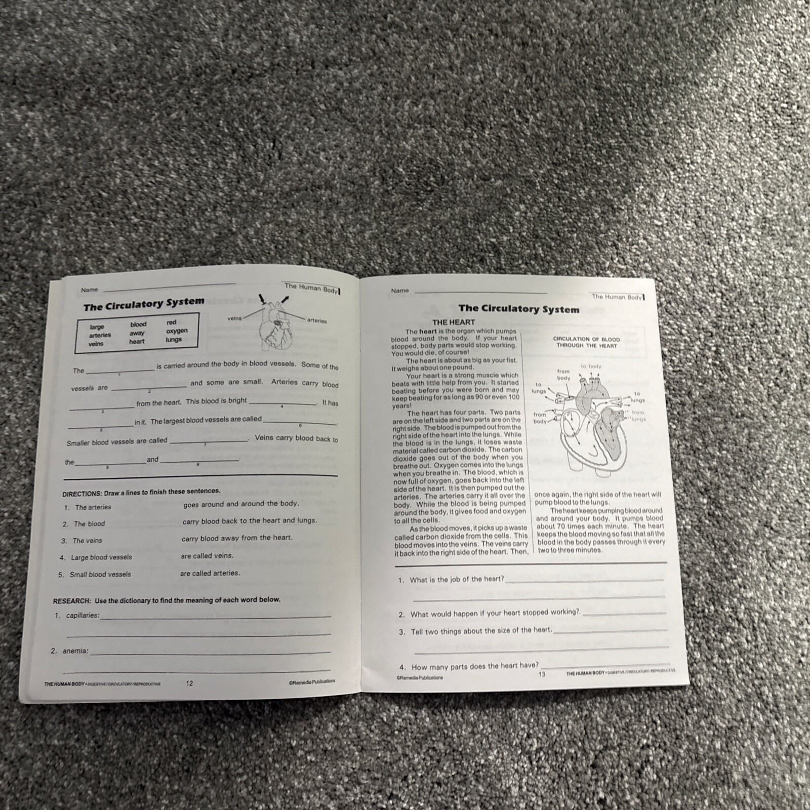 Lot of 4 The Human Body Teacher Trade Books Grades 3-8 Used