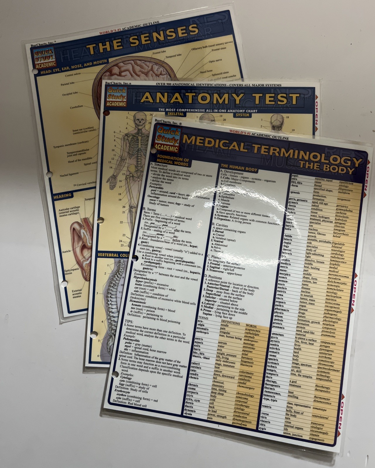 Anatomy Medical Terms Quick Study Academic Reference Study Guides BarCharts