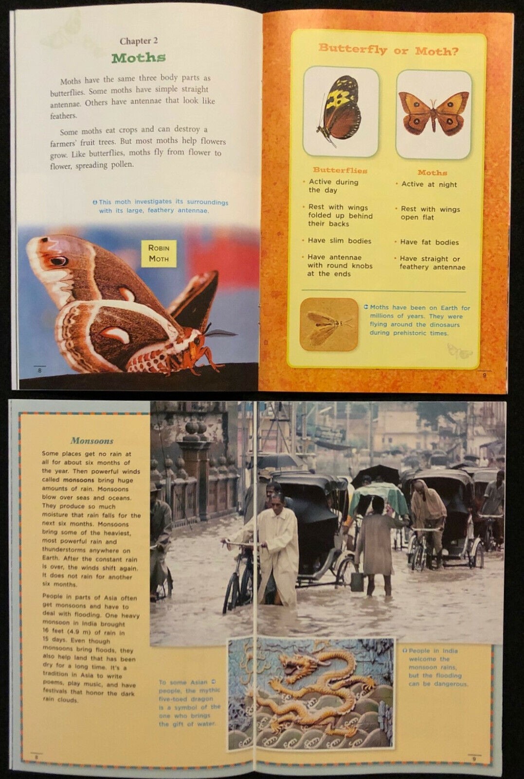 4th Grade – GENRE READERS – INFORMATIONAL NONFICTION – 17 books (2009)