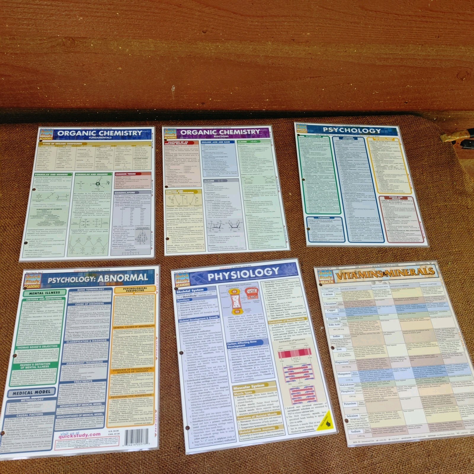 Lot Of 84 QUICK STUDY ACADEMIC & HEALTH Guides!!