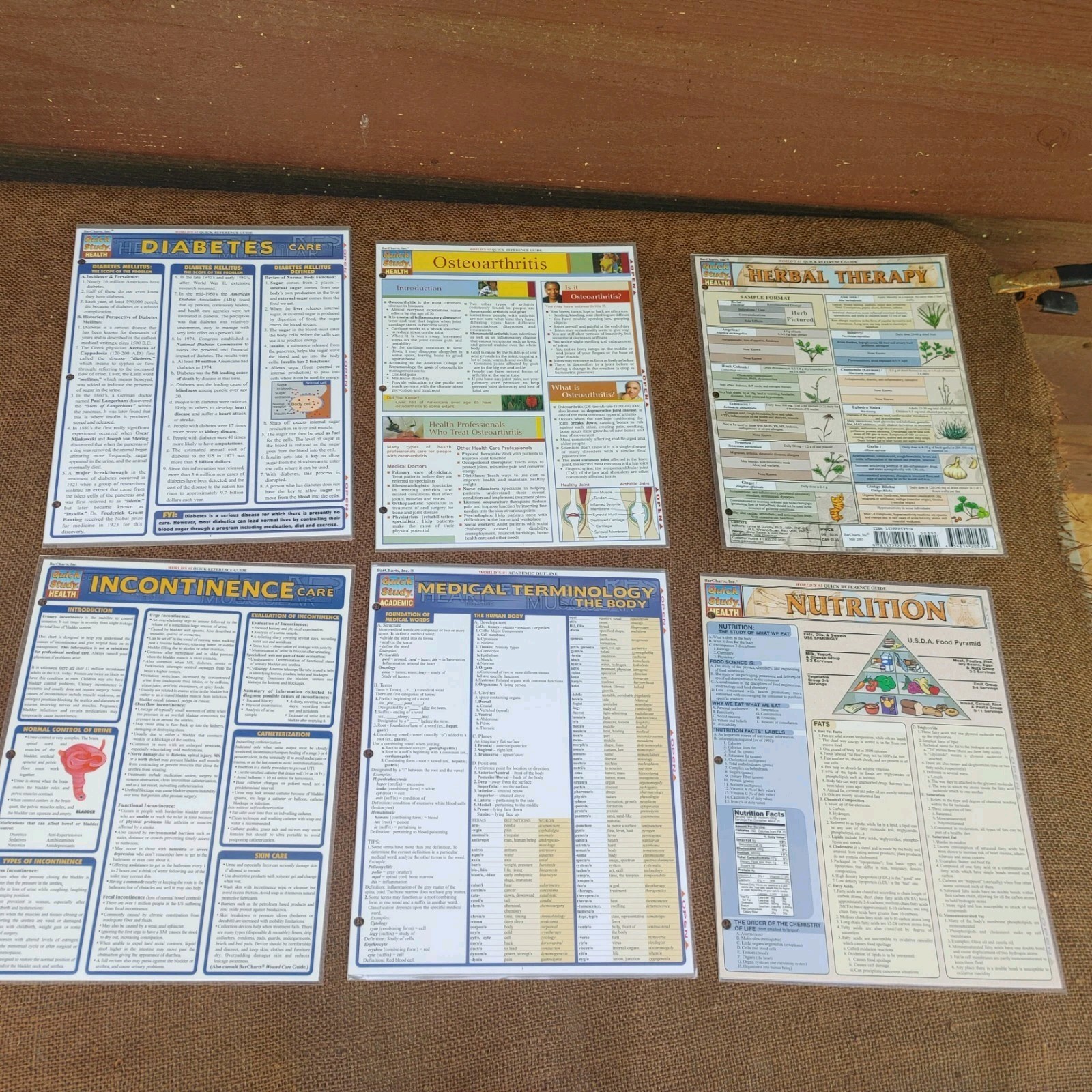 Lot Of 84 QUICK STUDY ACADEMIC & HEALTH Guides!!