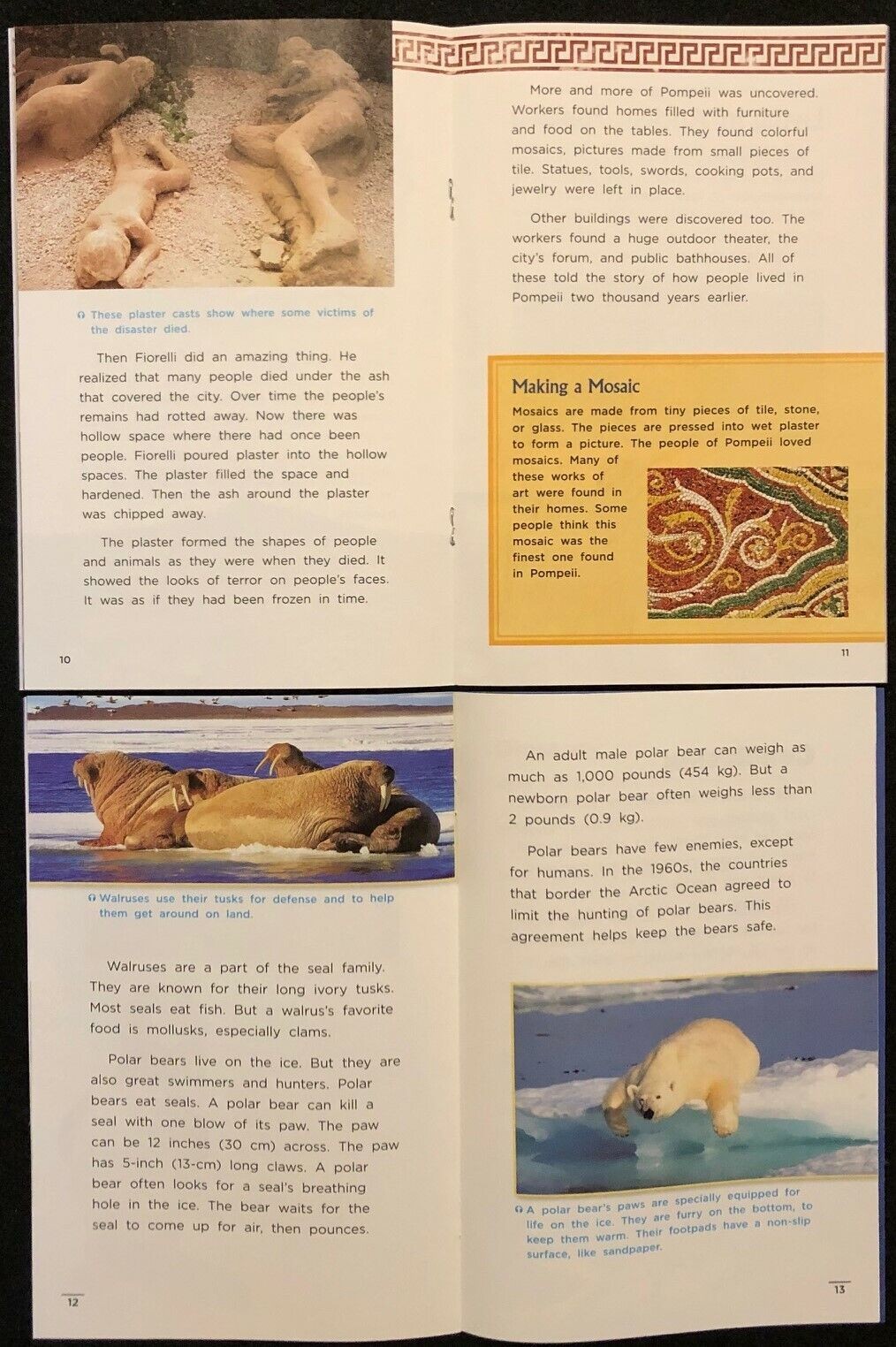 4th Grade – GENRE READERS – INFORMATIONAL NONFICTION – 17 books (2009)