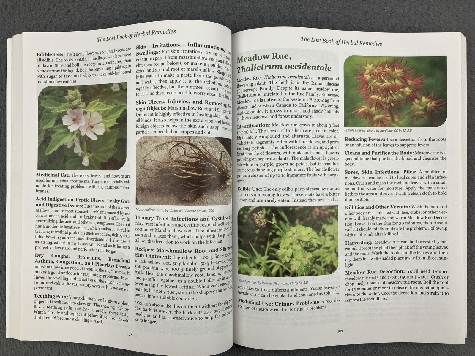 The Lost Book of Herbal Remedies (paperback with color pictures) Hundreds of
