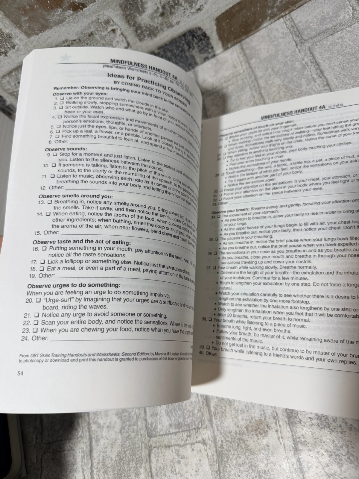 DBT Skills Training Handouts and Worksheets, Second Edition – GOOD